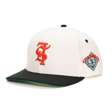 High-Quality Hip-Hop Style Snapback Hat Custom Manufacturer