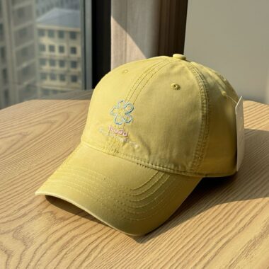 korean floral embroidered all season women baseball hat